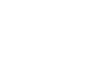 球盟会